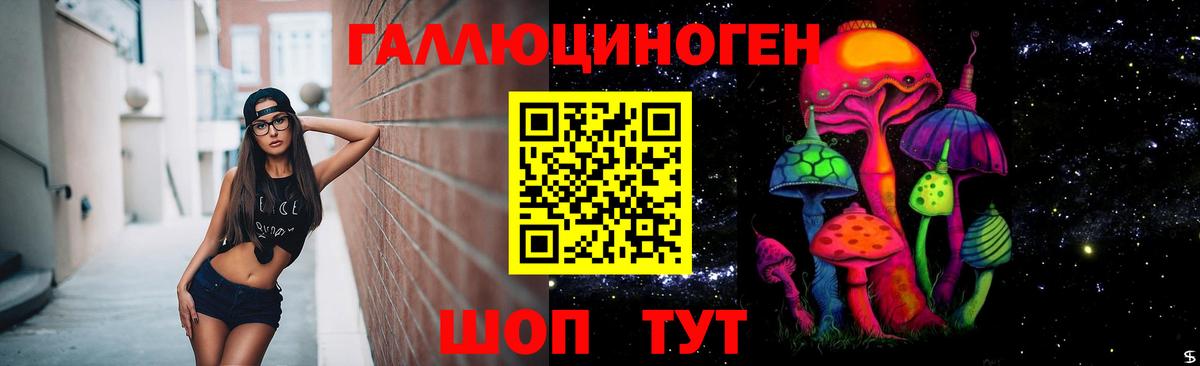 Псилоцибиновые грибы MAGIC MUSHROOMS  Псилоцибиновые грибы MAGIC MUSHROOMS  Вход с VPN  Калач-на-Дону 